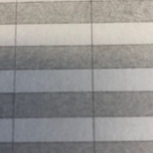 Meet your Posher, Trevor